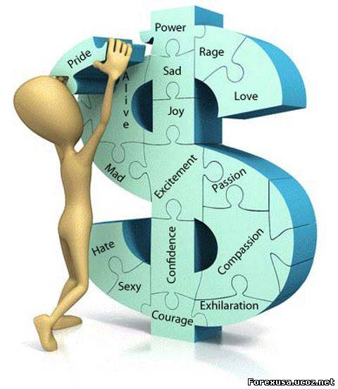 Forex Trading Software Or Forex Trading System - Which One to Choose?